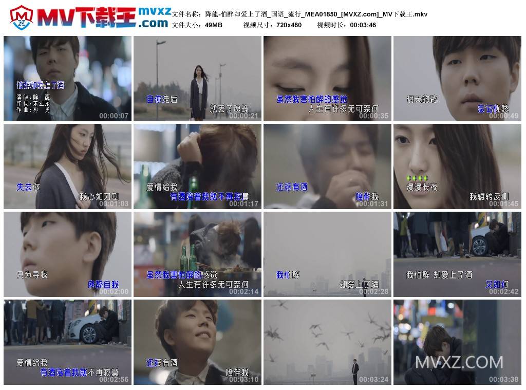 降龍-怕醉却爱上了酒_国语_流行_MEA01850